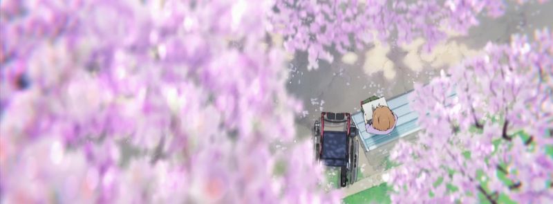 josee sakura josee sakura